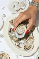 Oysters a Pearls No 02 (1x Studio III) - Muzeo.com