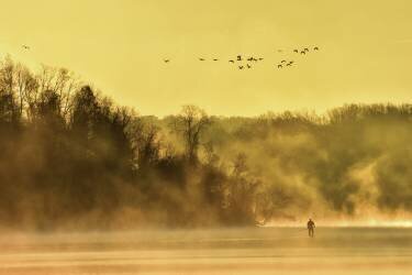 Pagayer en automne (Eric Zhang) - Muzeo.com