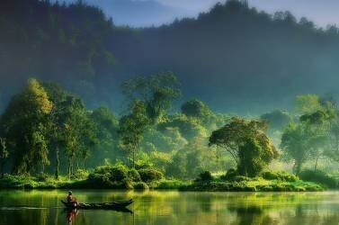 Painting of  Nature (Hardibudi) - Muzeo.com