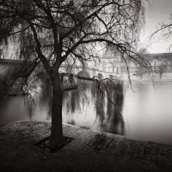 Palais Royal (Ronny Behnert) - Muzeo.com