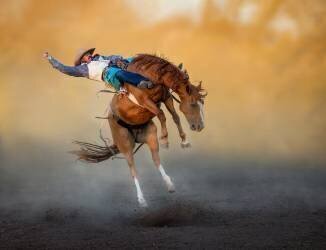 Pas de deux (Frank Ma) - Muzeo.com