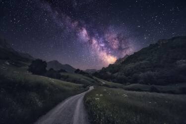 Path to the Stars (Carlos F. Turienzo) - Muzeo.com