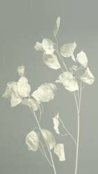 Peaceful (Heidi Westum) - Muzeo.com