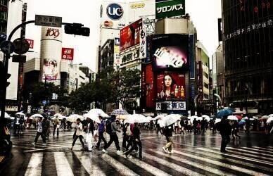 Piétons traversant une intersection très fréquentée sous la pluie, Tokyo, Japon (anonyme) - Muzeo.com