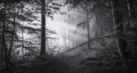 Point of no return... (Norbert Maier) - Muzeo.com
