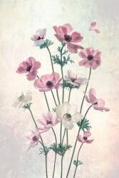 Pretty Dancing Poppies (Lydia Jacobs) - Muzeo.com