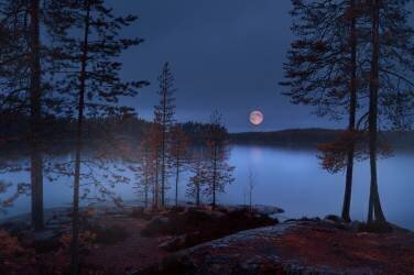 Red Moon (Nikki Georgieva V) - Muzeo.com