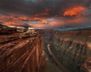 Redemption (Chris Moore) - Muzeo.com