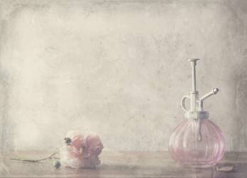 Rester (Delphine Devos) - Muzeo.com