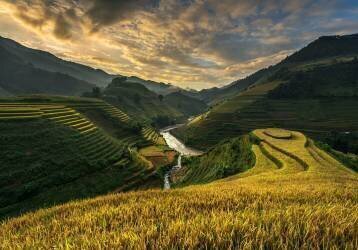 RiceTerrace ( vietnam) (Sarawut Intarob) - Muzeo.com