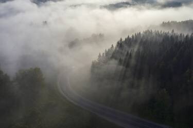 La route du brouillard (Dmitry Doronin) - Muzeo.com