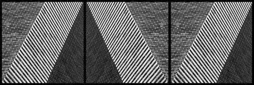 Rolling Dice (Paulo Abrantes ) - Muzeo.com