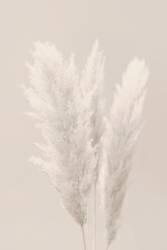 Sans titre (1x Studio III) - Muzeo.com