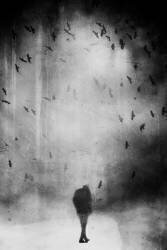 Sans titre (Dianela Riegler) - Muzeo.com