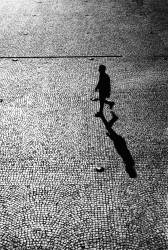 Sans titre (Paulo Abrantes ) - Muzeo.com