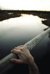 Sans titre (Natasha Gudermane) - Muzeo.com
