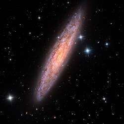 Sculptor Galaxy (Vikas Chander) - Muzeo.com