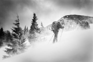 Searching for a path (Lubos Balazovic ) - Muzeo.com