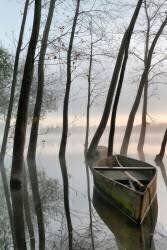 Serene Dawn (Rui David) - Muzeo.com