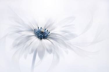 Serenity (Jacky Parker) - Muzeo.com