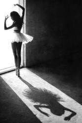 Shadow Dance (Sebastian Kisworo) - Muzeo.com