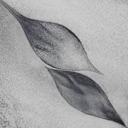 Shaped by a creative wind (Piet Flour) - Muzeo.com