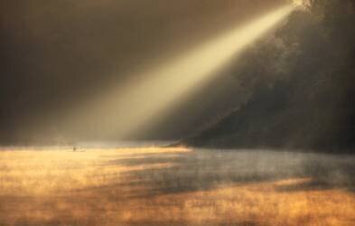 Solitaire sous l'aube (Nguyen Tan Tuan) - Muzeo.com