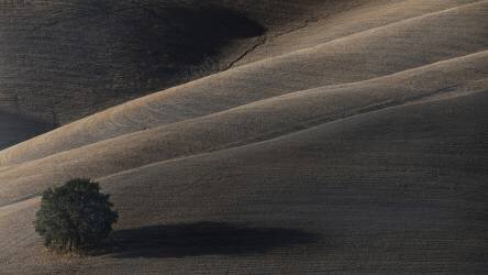 Bientôt mon ombre se dissoudra (Claudio Moretti) - Muzeo.com