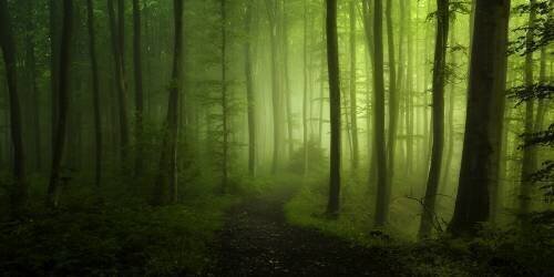 Spring Promise (Norbert Maier) - Muzeo.com