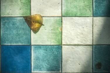 Still life at the bottom of a pond (Linda Wride) - Muzeo.com