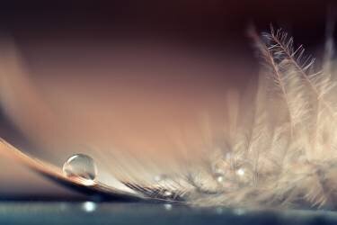 Stories of Drops (Dmitry Doronin) - Muzeo.com