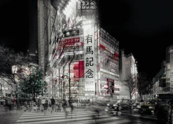 Street life in Tokyo (Carmine Chiriaco) - Muzeo.com