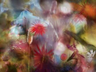 Summer memories (Heidi Westum) - Muzeo.com