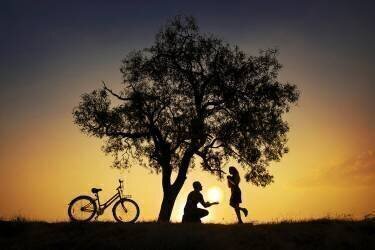 Sun for you (Deniz Ener) - Muzeo.com