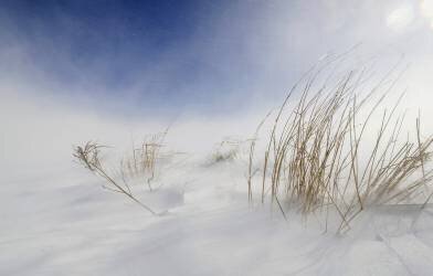 Tempête de neige ensoleillée (Carlo Tonti) - Muzeo.com