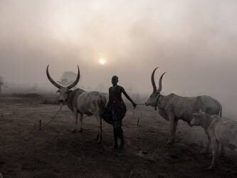Sunset at Toch Manga mundari camp, South Sudan-3056 (Elena Molina) - Muzeo.com