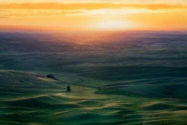 Sunset Over Colfax (Hanping Xiao) - Muzeo.com