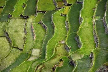 Terrace walking (Izidor Gasperlin ) - Muzeo.com