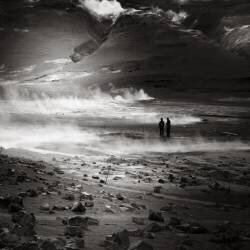 Terre vivante (Ronny Behnert) - Muzeo.com