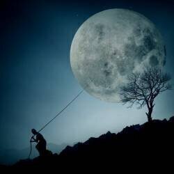 The Dreamer (Final Toto) - Muzeo.com