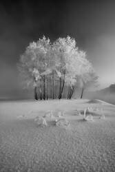 The first snow (Krzysztof Mierzejewski) - Muzeo.com