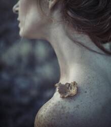 The leaf (Magdalena Russocka) - Muzeo.com