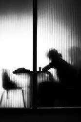 The shadow work (Parole Kim) - Muzeo.com