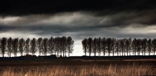 The space between (Harry Verschelden) - Muzeo.com