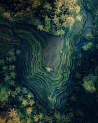 The Terracing (Fikri Muharram) - Muzeo.com