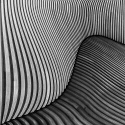 The wood project I - Tangled wood (Luc Vangindertael (laGrange)) - Muzeo.com
