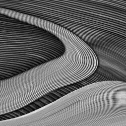 The wood project III - Zen garden (Luc Vangindertael (laGrange)) - Muzeo.com