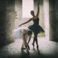 The subtle bow (Roswitha Schleicher-Schwarz) - Muzeo.com