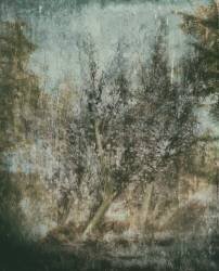 To everything there is a season (Delphine Devos) - Muzeo.com