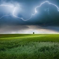Un endroit en été (Nicolas Schumacher) - Muzeo.com